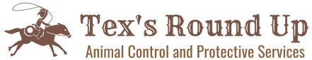 Pest Control Animal Control Tex's Round up